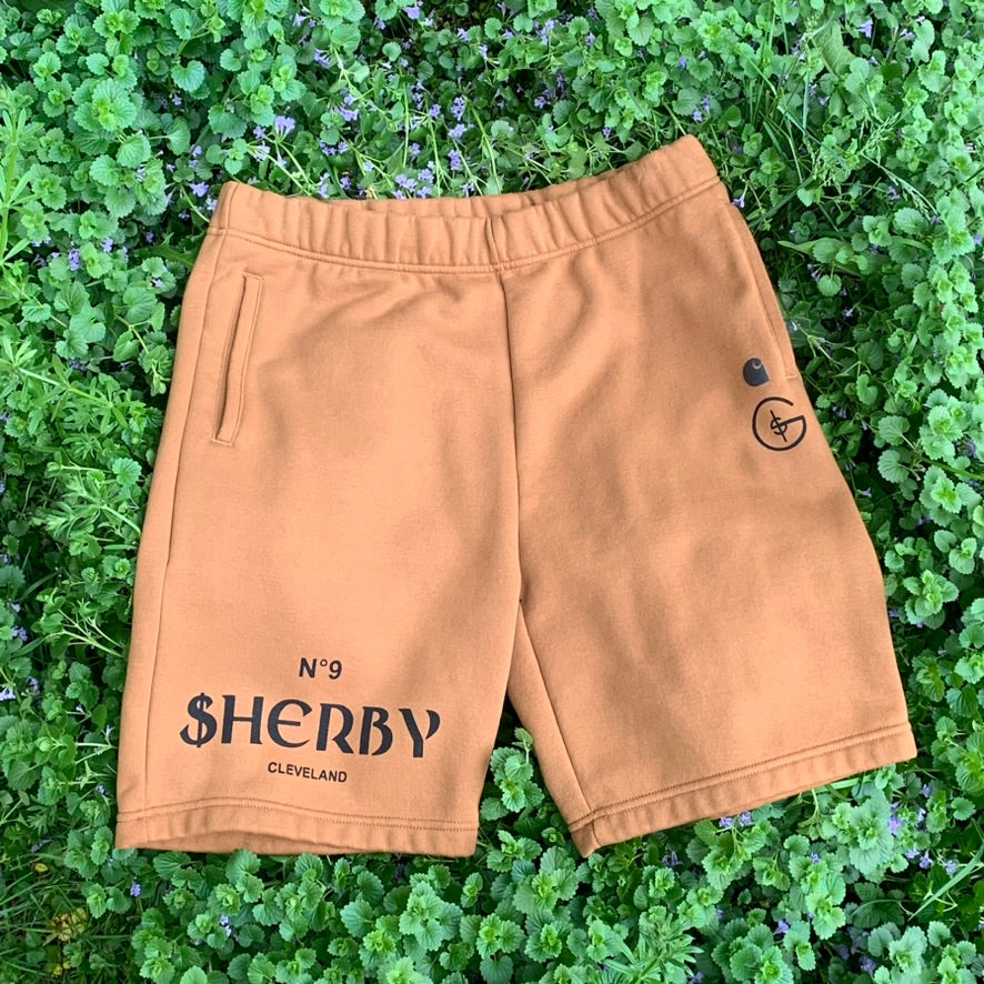 Cozy Casual Carhartt Shorts (Big No. 9 Logo)