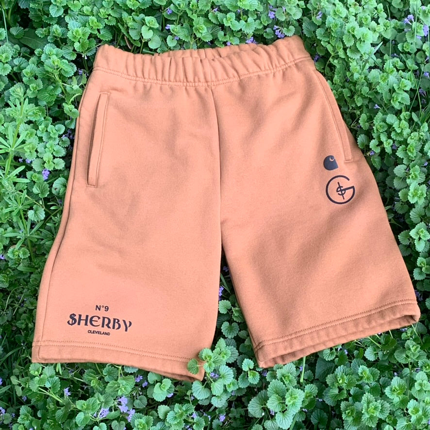 Cozy Casual Carhartt Shorts (Small No. 9 Logo)